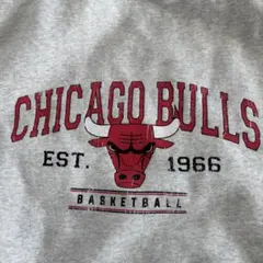 【M】シカゴ・ブルズ スウェット グレー