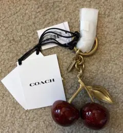 2026年最新】coach チェリーの人気アイテム - メルカリ