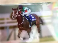 Item thumbnail for item a09f75fa-4282-4802-a074-3ee0f353ba34