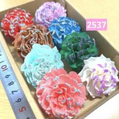 ソラフラワー　2537