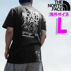 海外限定】ノースフェイス 半袖Tシャツ 日本4L相当 A644 - メルカリ