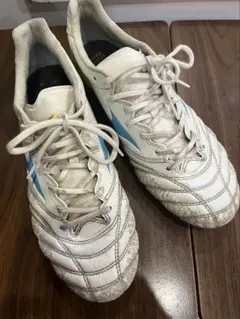 Item thumbnail for item a43eb7e5-f413-4601-b8d0-db9bce771e67