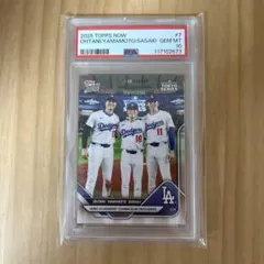 Item thumbnail for item 44cd741c-9039-4cd2-a5d2-6184d035c297