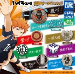 【青葉城西】 ハイキュー TO THE TOP 高校モチーフ 校章ピンバッチ