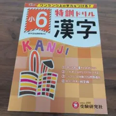 特訓ドリル漢字 ワンランク上の学力をつける! 小6