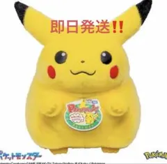 新品未開封！24時間以内発送！ポケモン30周年記念おかえり!ピカチュウ1/1