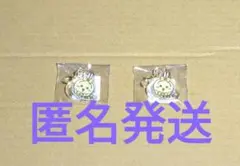 ちいかわまじかるちいかわミニアクリルチャーム(うさぎ)２点セット