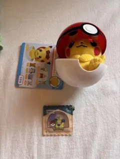ポケモンセンター ぬいぐるみバッジ in モンスターボールケース