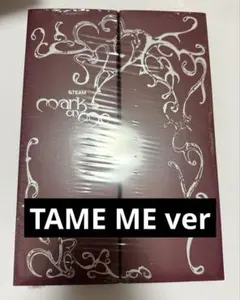 &TEAM 2nd Mini Album mark on me