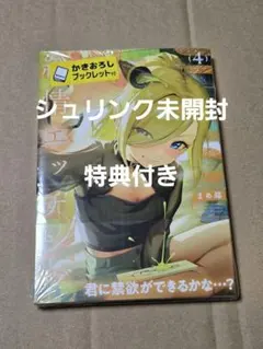 純情エッチング 4巻 ゲーマーズ特典ブックレット＆ペーパー付き