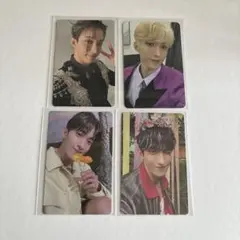 SEVENTEENドギョムトレカセット