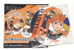 ハイキュー!! BIG缶バッジコレクションVol.2  日向翔陽 烏野高校