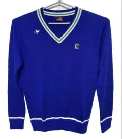 Item thumbnail for item 43651d65-4b57-4008-8587-ad9bfda03f4b