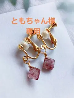 ともちゃん様専用