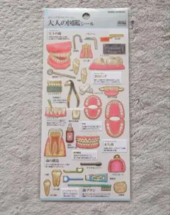 【正規品】大人の図鑑シール　 歯編