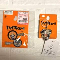 ハイキュー‼︎ 烏野高校 ヘアクリップ・マルチチャーム　2点セット