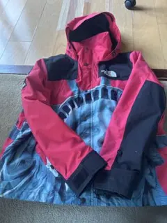 THE NORTH FACE × Supreme 自由の女神