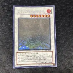 高騰中】ブラックローズドラゴン ホロ 引退品 コレクション - メルカリ
