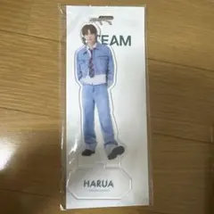 2026年最新】ハルア アクスタ &teamの人気アイテム - メルカリ