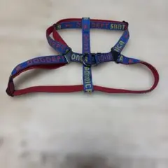 Item thumbnail for item 899b24d9-4130-4c2a-9420-11fbdffd851d