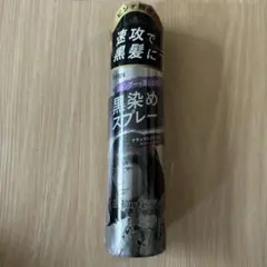 新品未使用　hoyu Beauteen 黒染めスプレー ナチュラルブラックのサムネイル