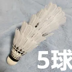 2025年最新】バドミントンシャトルの人気アイテム - メルカリ