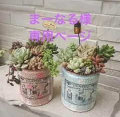 まーなる様専用ページ