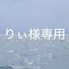 りぃ様 リクエスト 2点 まとめ商品