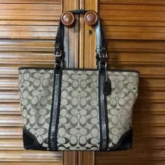 2026年最新】coach スエード バッグの人気アイテム - メルカリ