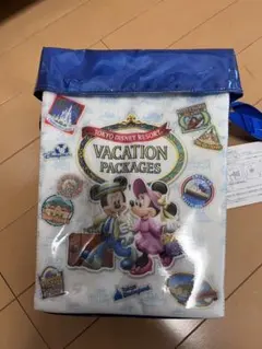 ポップコーンケース　東京ディズニーリゾート バケーションパッケージ