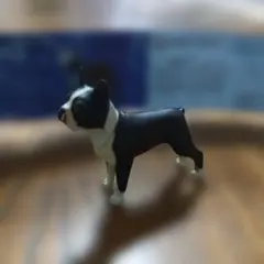 Item thumbnail for item f08e9aa9-a993-40e5-adb9-1e3d6687f0c5