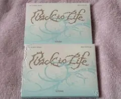 &TEAM Backtolife MINI Photo Card Box 未開封