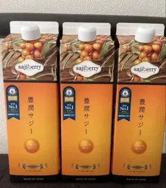◾️豊潤サジー 1000ml 3本セット フィネス - メルカリ