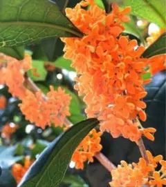 そらちゃん様 リクエスト 2点 まとめ商品