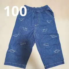 恐竜刺繍 デニムパンツ 薄手 バースデイ 100cm 3can4onのサムネイル