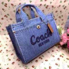 な*も様 COACHコーチ26cmジャストサイズデニムブルー刺繍カーゴ