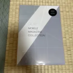 globe 写真集 The File of Relation the book - メルカリ
