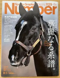 ステイゴールド ゼッケン 2025年最新】ステイゴールド 競馬の人気アイテム - メルカリ