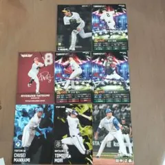 プロ野球チップス　カード