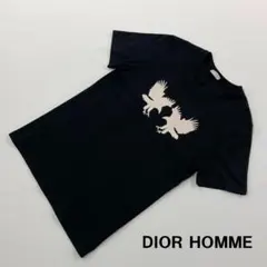 DIOR HOMME ディオール オム Tシャツ カットソー エディスリマン DIOR HOMME - Dior homme / ディオールオム | 06AW エディ期 I will