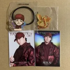 FANTASTICS 世界　フォトカ　ガチャセット