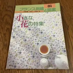 フランス刺繍と図案 81 小さな花の特集