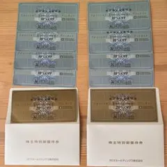 【最新版】ゼビオ　株主優待　20%Off 12枚　その他