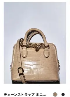 ZARA ベージュ クロコダイル風 ショルダーバッグ