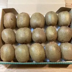 ち*び様 新鮮キウイ 15個入り