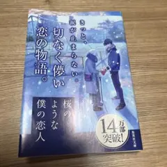 桜のような僕の恋人
