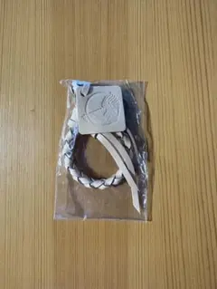 Item thumbnail for item d3232a6d-6a70-46d3-a25f-b76612ab9f5c