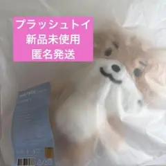 ミニティーン ディノ チャンダリ ぬいぐるみSEVENTEEN プラッシュトイ