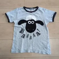 キッズ　LITTLE BEAR CLUB ひつじのショーン Tシャツ　120のサムネイル