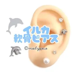 イルカ　軟骨ピアス　いるか　ボディピアス　ヘリックスのサムネイル